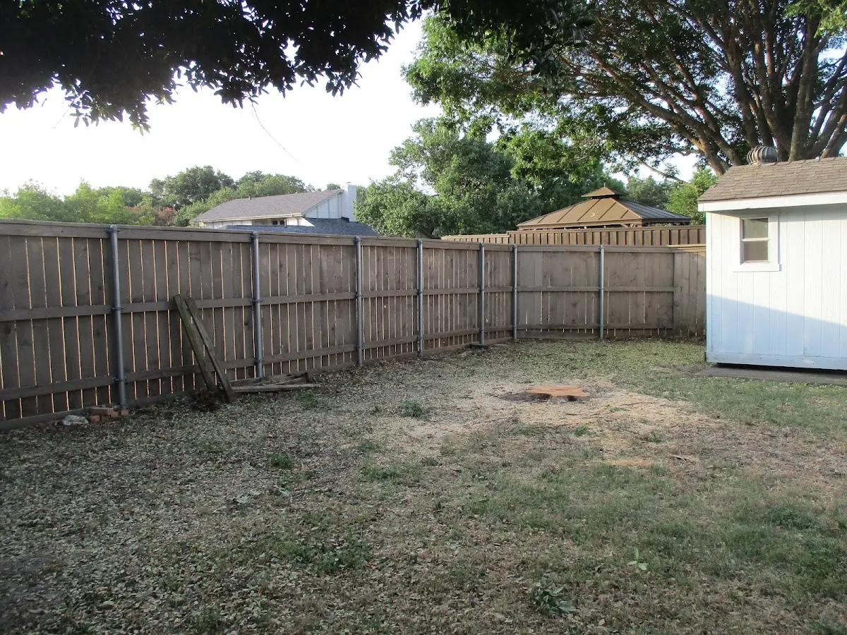 Cleared yard after professional tree removal in Millville